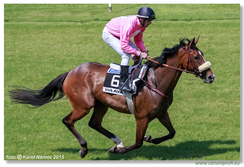 Bratislava - 07. jna 2015 