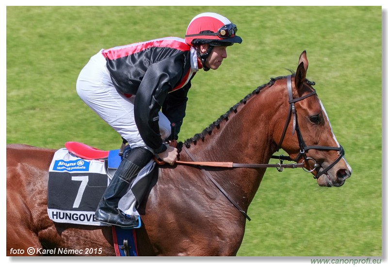 Bratislava - 07. jna 2015 