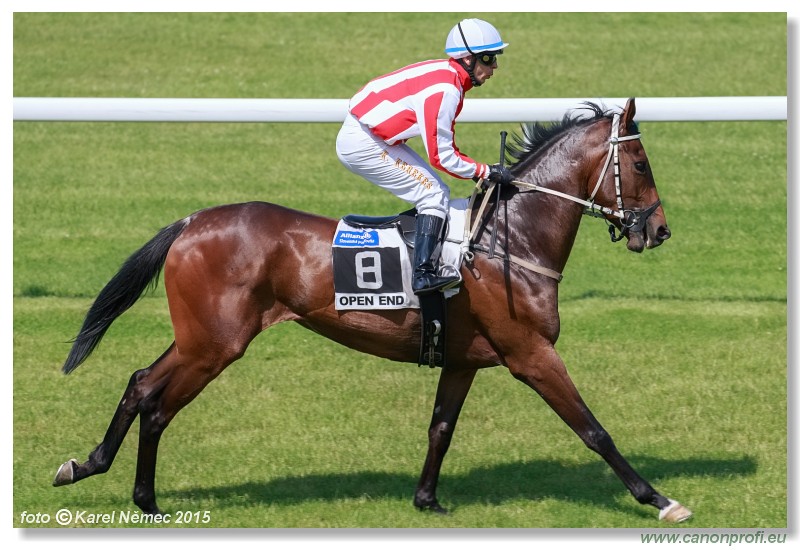 Bratislava - 07. jna 2015 