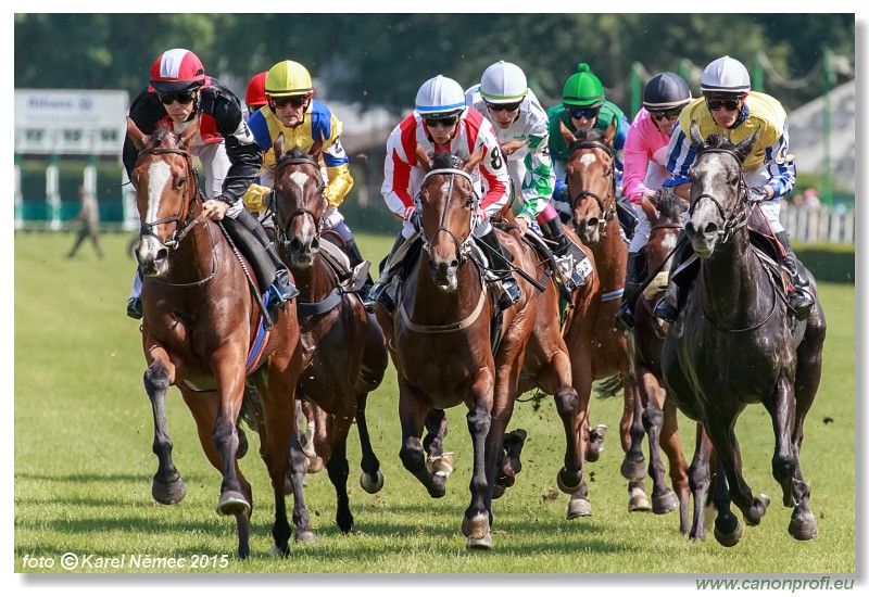 Bratislava - 07. jna 2015 