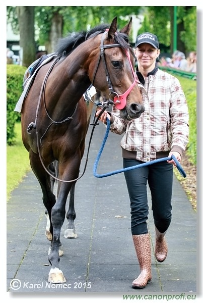 Bratislava - 28. jna 2015 