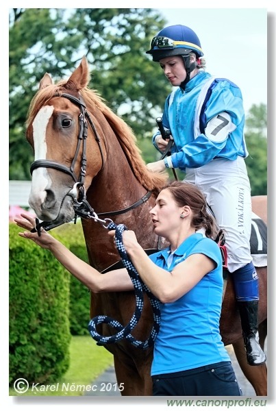 Bratislava - 28. jna 2015 