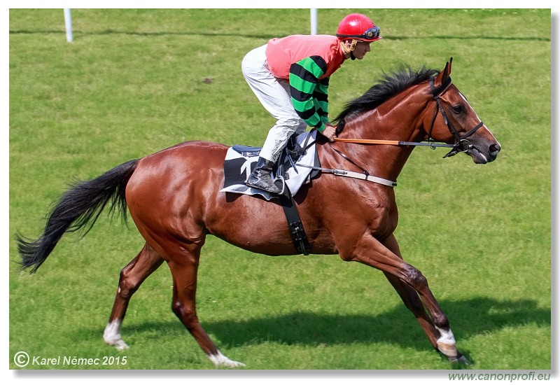 Bratislava - 28. jna 2015 