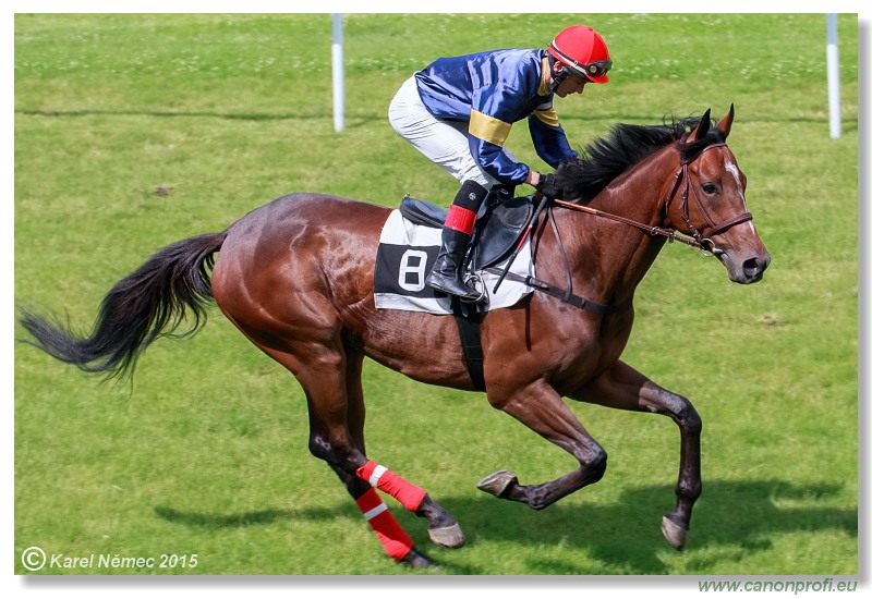 Bratislava - 28. jna 2015 