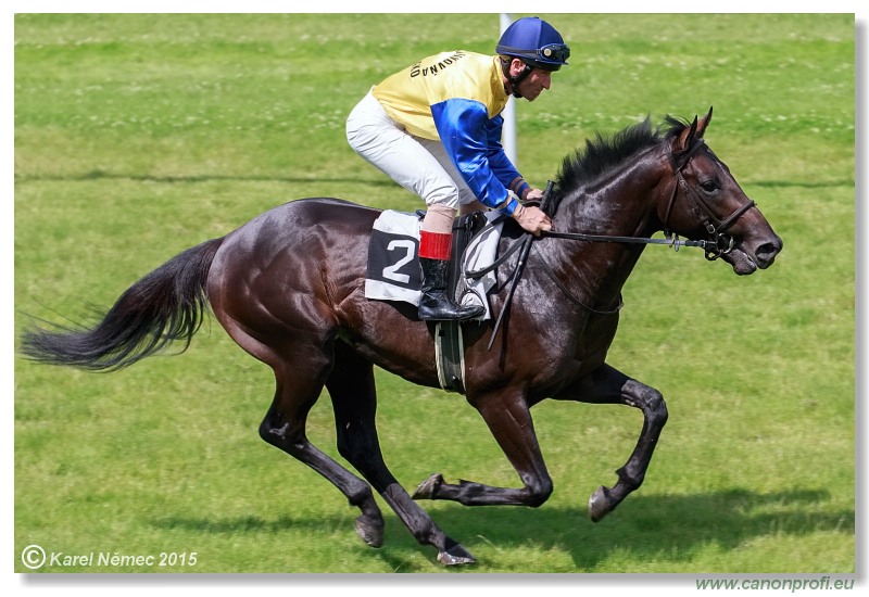 Bratislava - 28. jna 2015 