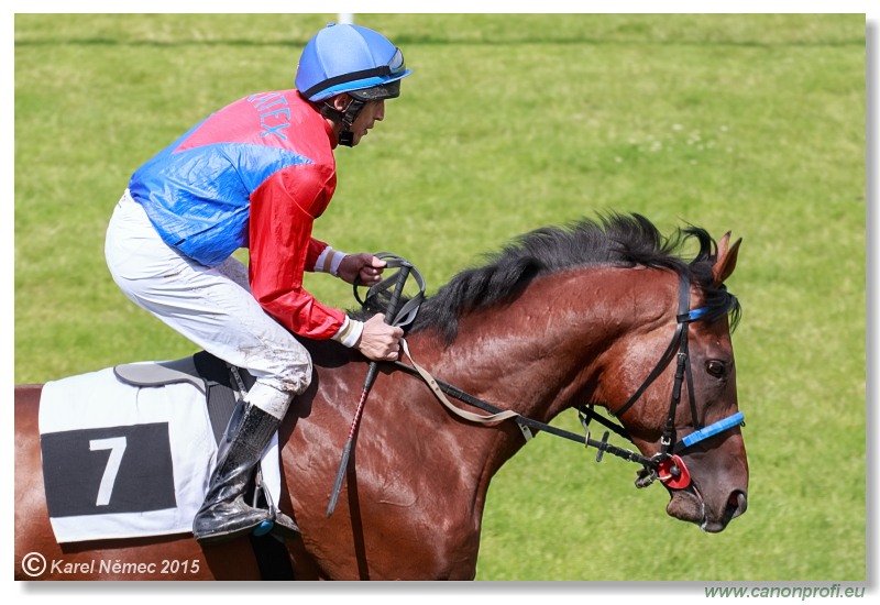 Bratislava - 28. jna 2015 