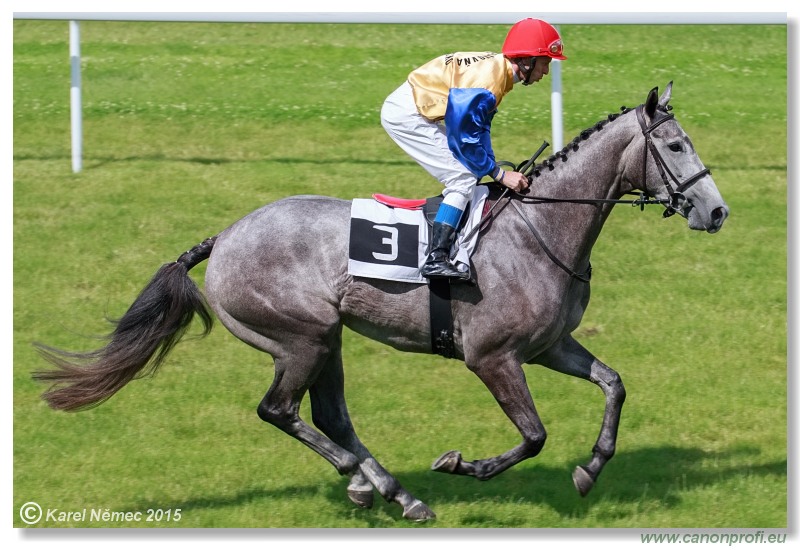 Bratislava - 28. jna 2015 