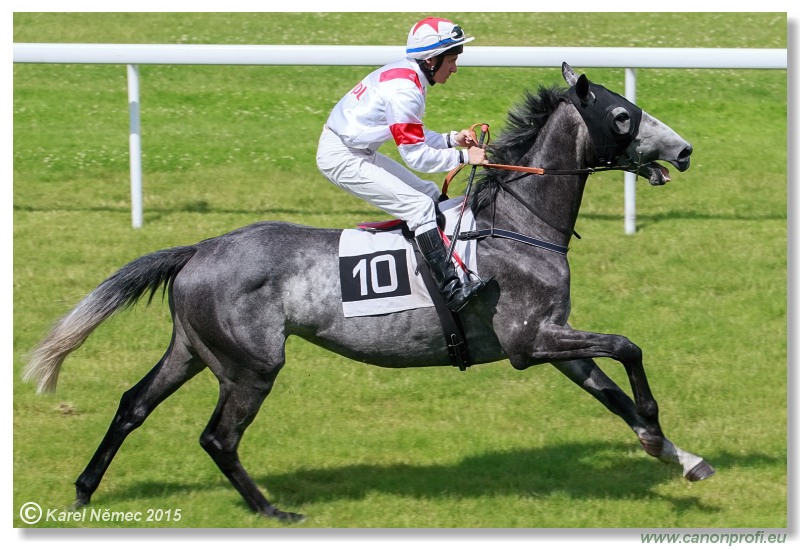 Bratislava - 28. jna 2015 