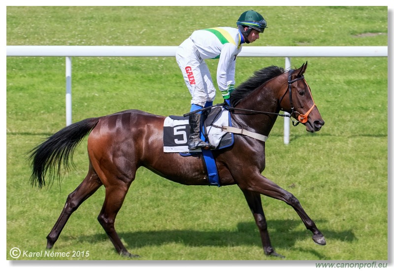 Bratislava - 28. jna 2015 