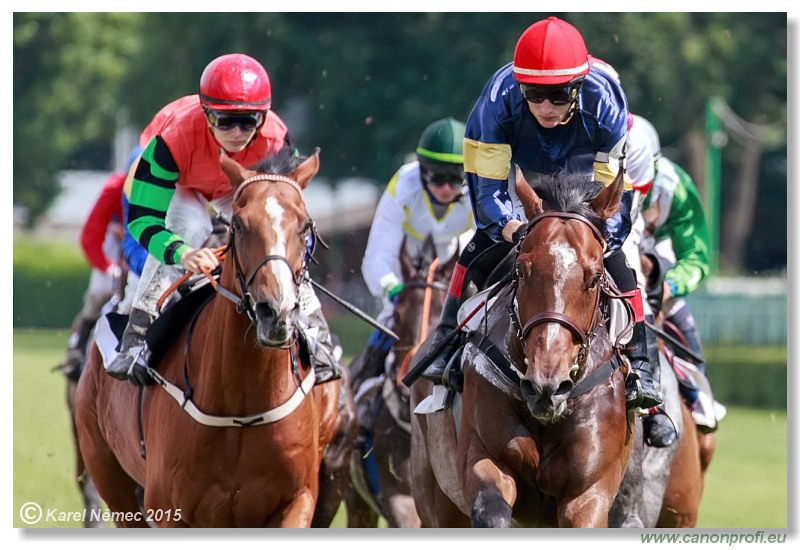 Bratislava - 28. jna 2015 