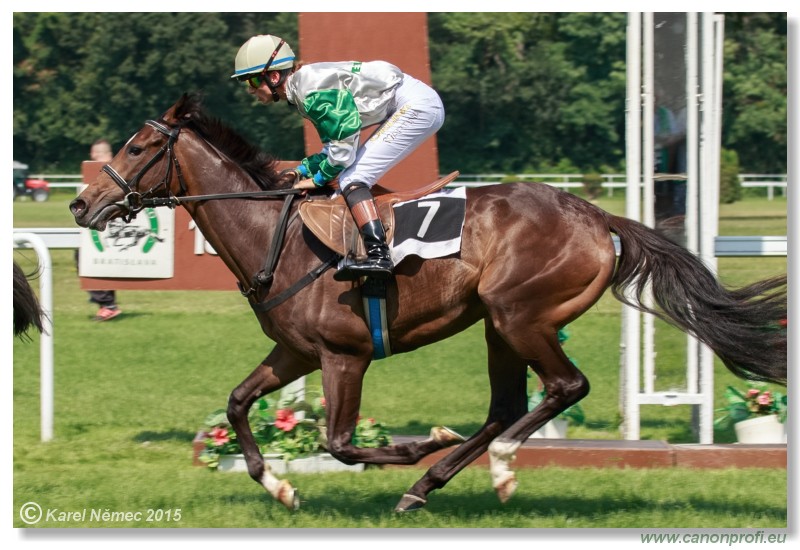 Bratislava - 19. jla 2015 