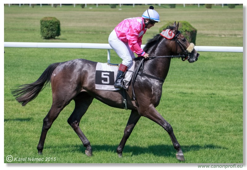 Bratislava - 19. jla 2015 