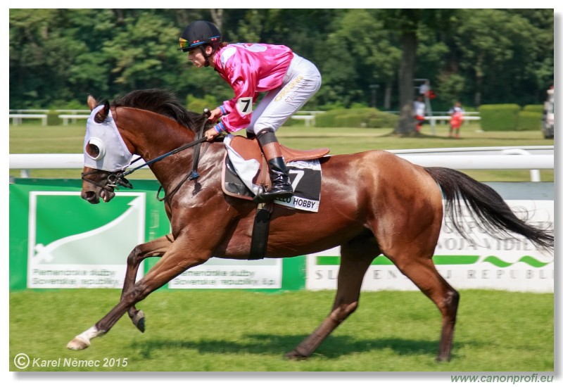 Bratislava - 19. jla 2015 