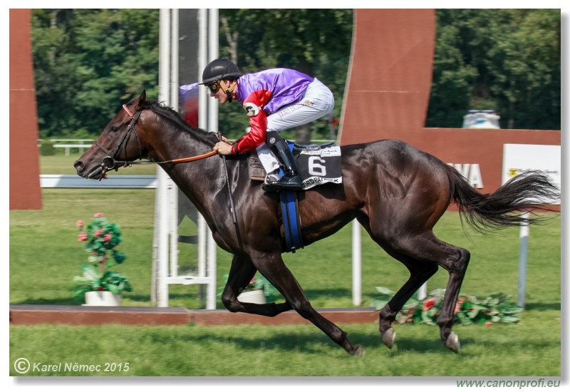 Bratislava - 19. jla 2015 