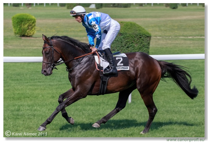 Bratislava - 19. jla 2015 