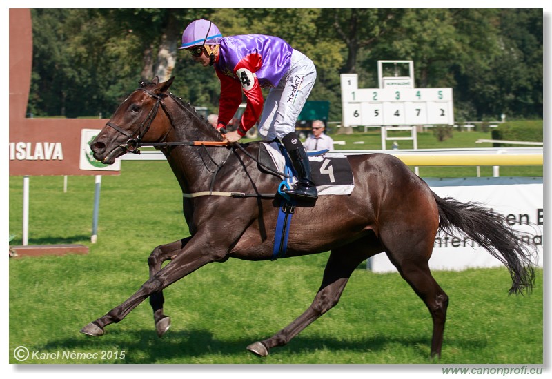 Bratislava - 30. augusta 2015 