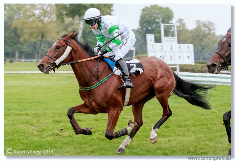 Bratislava - 18. oktbra 2015 