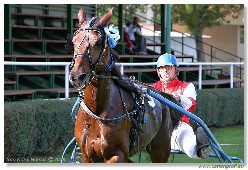 Bratislava - 19. oktobra 2008 