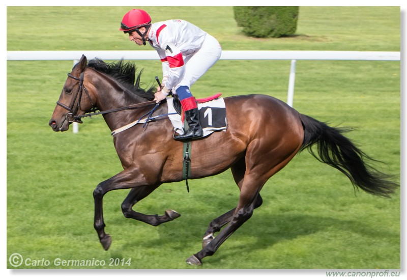 Bratislava - 13. aprl 2014 