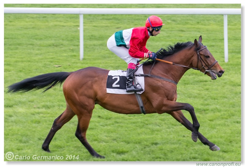 Bratislava - 20. aprl 2014 