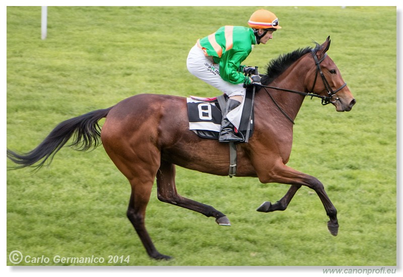 Bratislava - 20. aprl 2014 