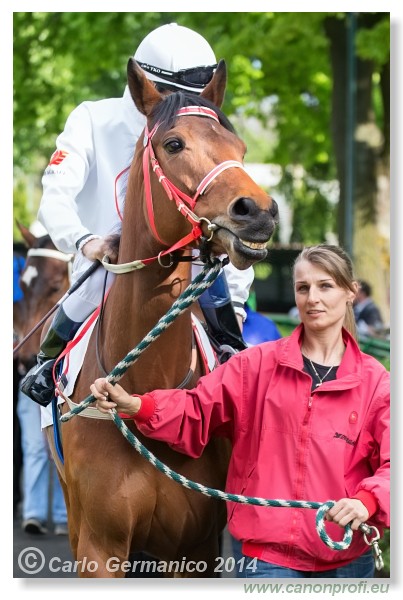 Bratislava - 20. aprl 2014 