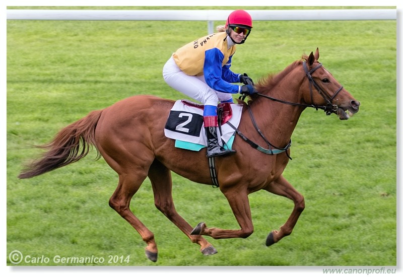 Bratislava - 20. apr�l 2014 