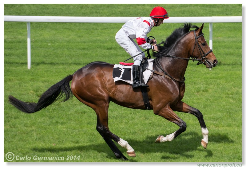 Bratislava - 27. apr�l 2014 