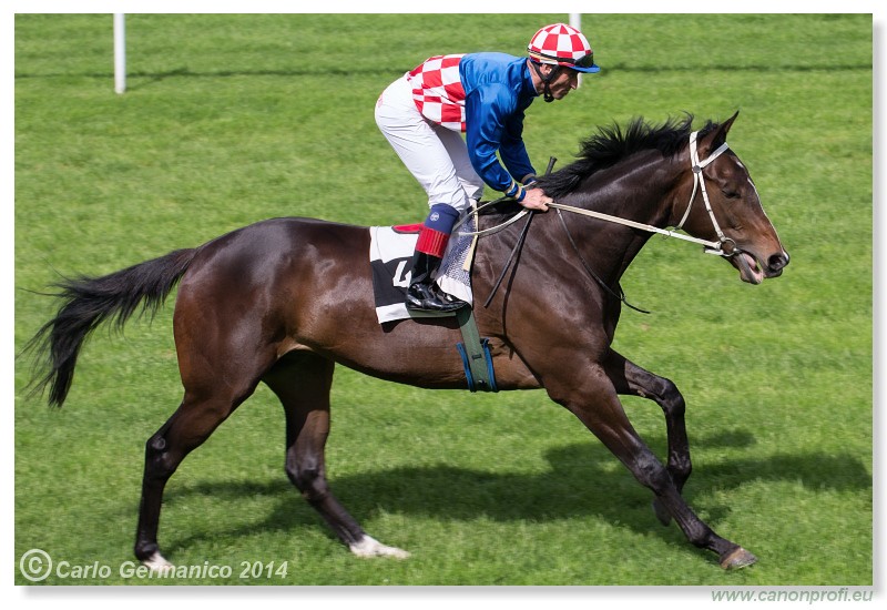 Bratislava - 27. apr�l 2014 