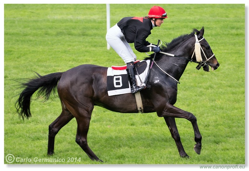 Bratislava - 27. apr�l 2014 