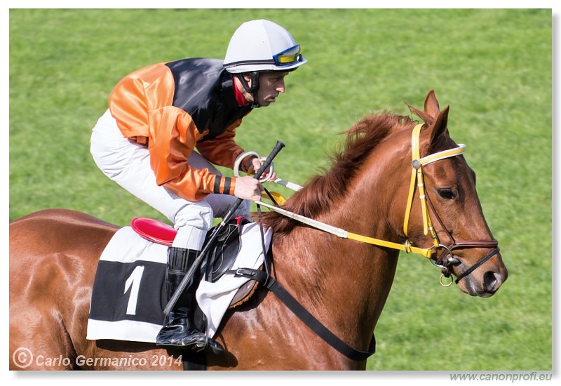 Bratislava - 27. apr�l 2014 