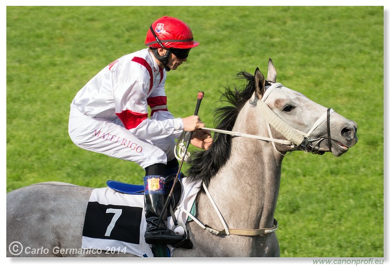 Bratislava - 27. apr�l 2014 