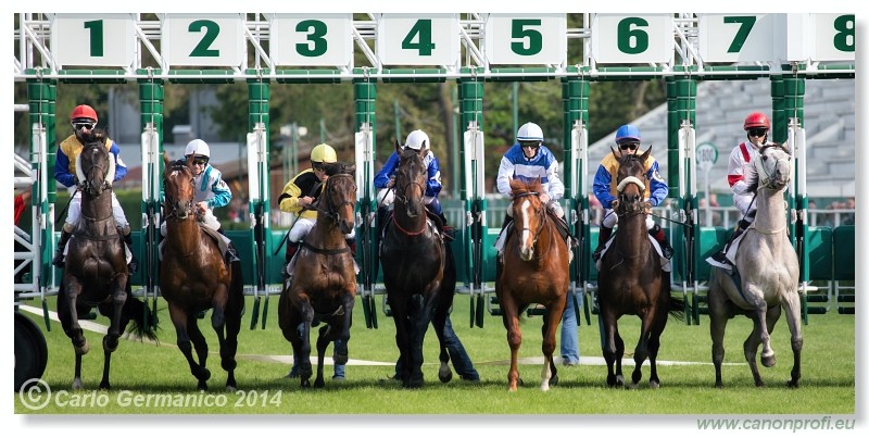 Bratislava - 27. apr�l 2014 