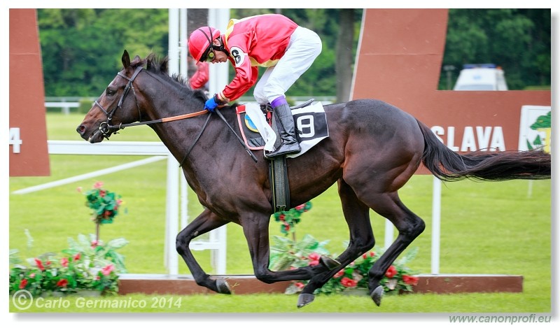 Bratislava - 18. m�ja 2014 