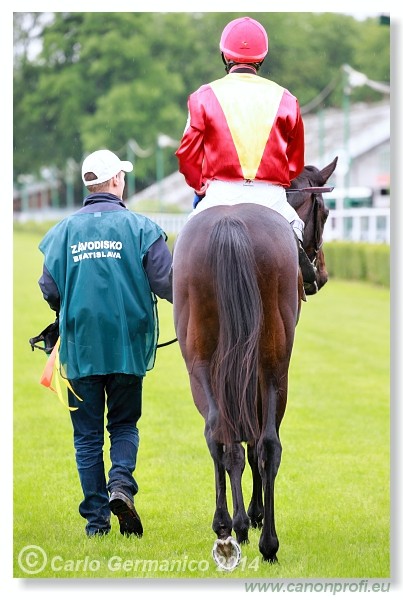 Bratislava - 18. m�ja 2014 