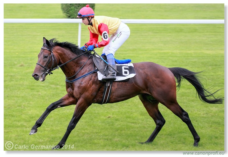 Bratislava - 18. m�ja 2014 