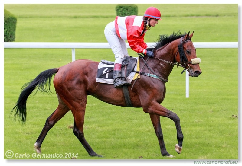 Bratislava - 18. m�ja 2014 