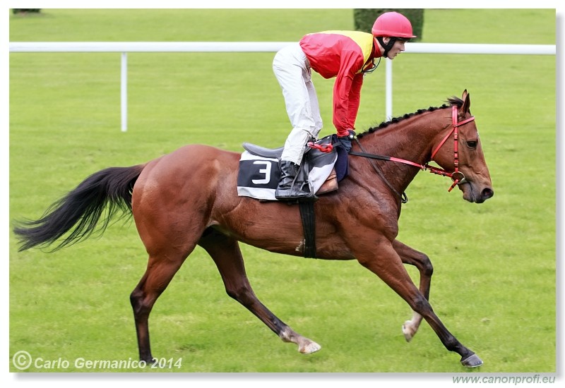 Bratislava - 18. m�ja 2014 