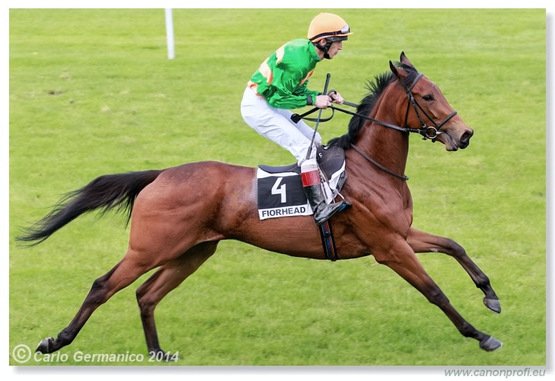 Bratislava - 18. m�ja 2014 