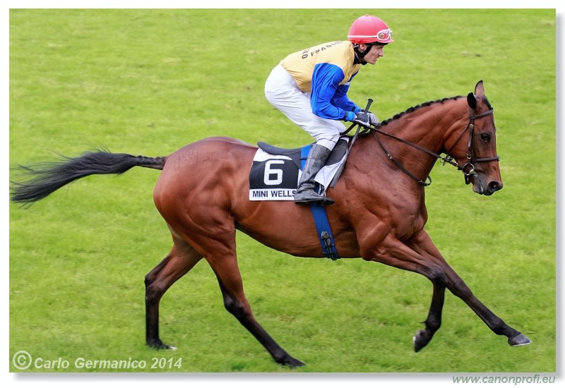 Bratislava - 18. m�ja 2014 