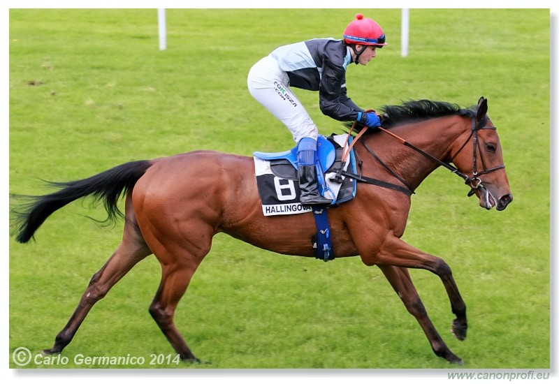 Bratislava - 18. m�ja 2014 