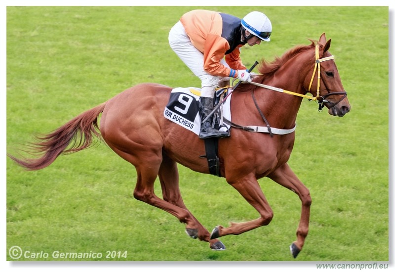 Bratislava - 18. m�ja 2014 