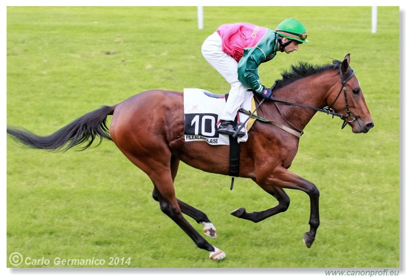 Bratislava - 18. m�ja 2014 