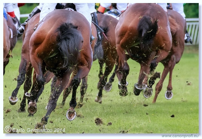 Bratislava - 18. m�ja 2014 