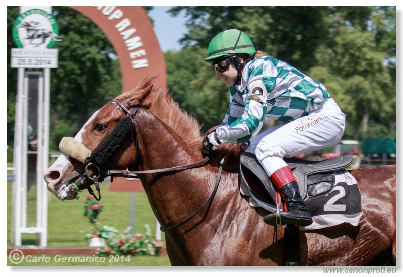 Bratislava - 25. m�ja 2014 