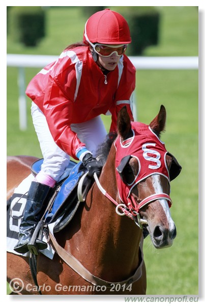 Bratislava - 25. m�ja 2014 