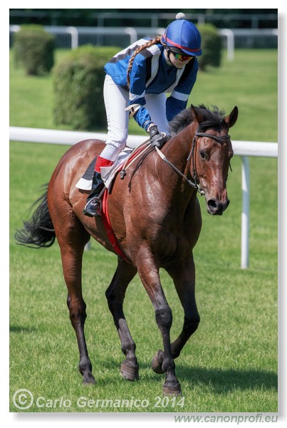 Bratislava - 25. m�ja 2014 