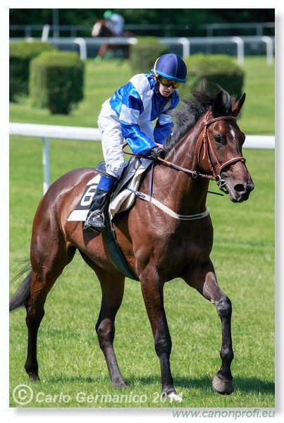 Bratislava - 25. m�ja 2014 