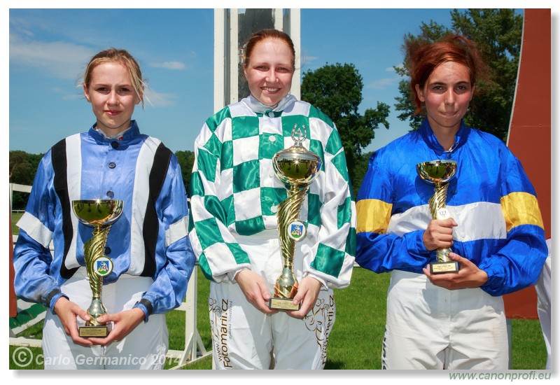 Bratislava - 25. m�ja 2014 