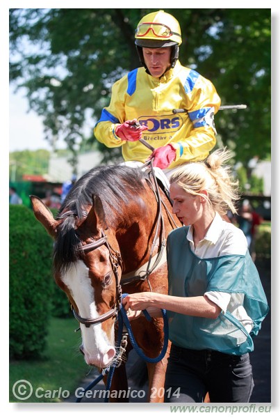 Bratislava - 25. m�ja 2014 